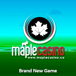 Maple casino 